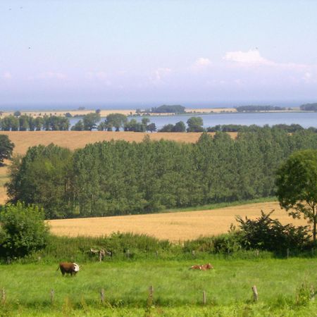 Ferienwohnungen Und Ferienhaus Im Nixenweg Hohwacht Extérieur photo