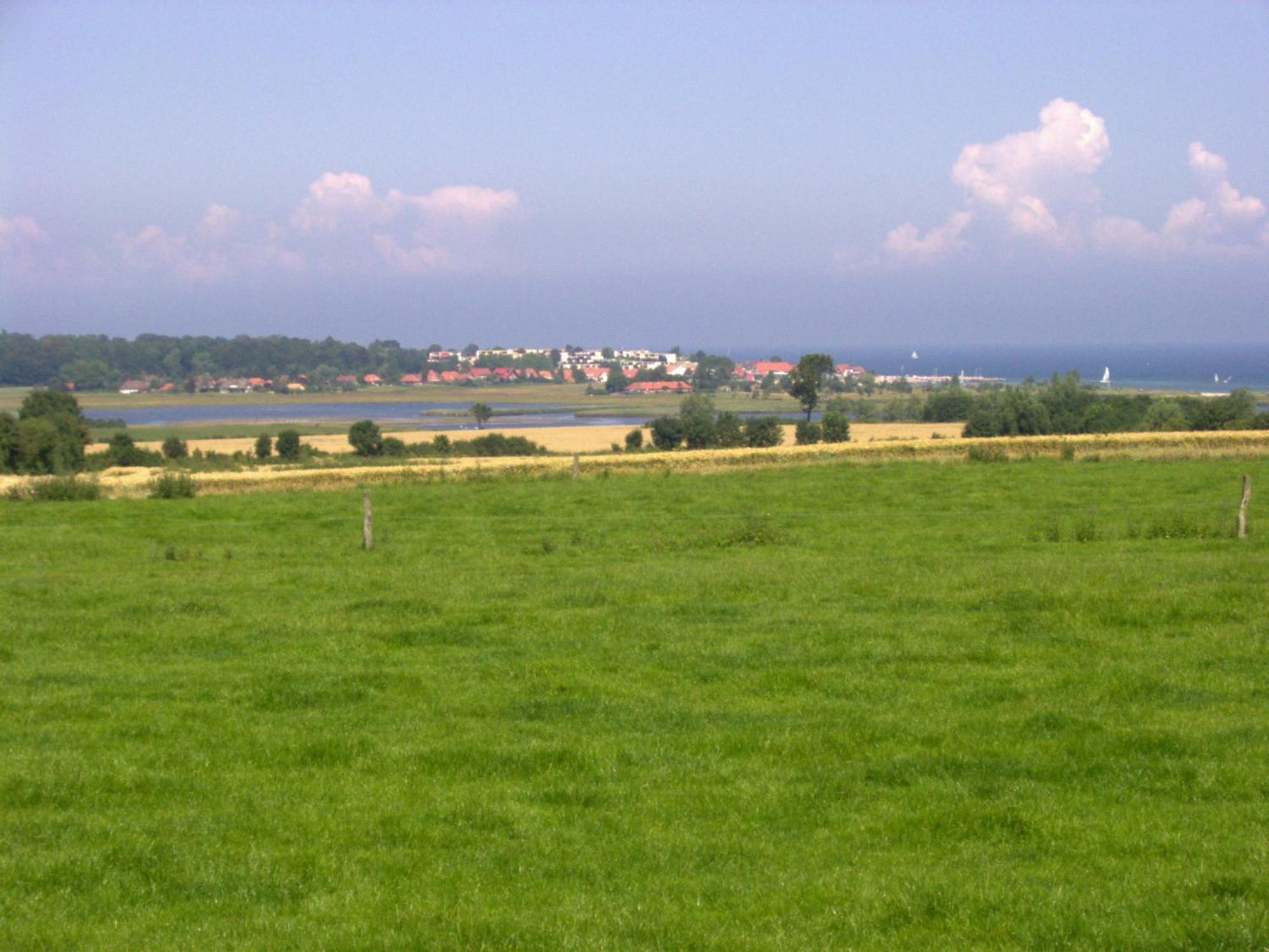 Ferienwohnungen Und Ferienhaus Im Nixenweg Hohwacht Extérieur photo